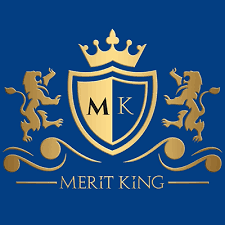 Meritking Logo