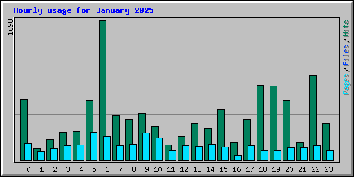 Hourly usage for January 2025