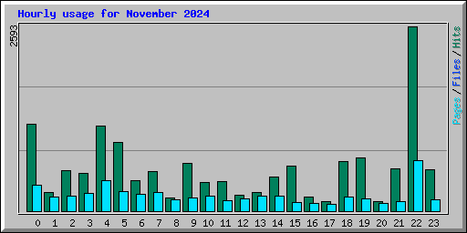 Hourly usage for November 2024