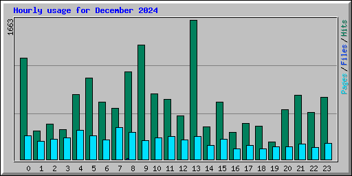 Hourly usage for December 2024