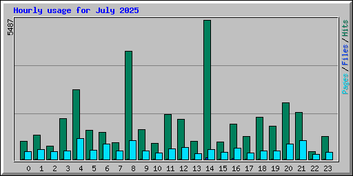 Hourly usage for July 2025