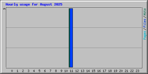 Hourly usage for August 2025